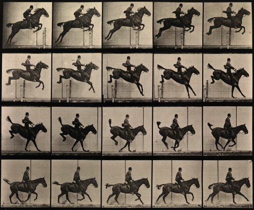 Eadweard-Muybridge